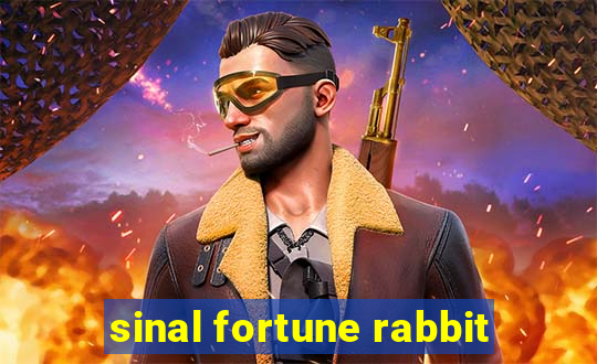 sinal fortune rabbit